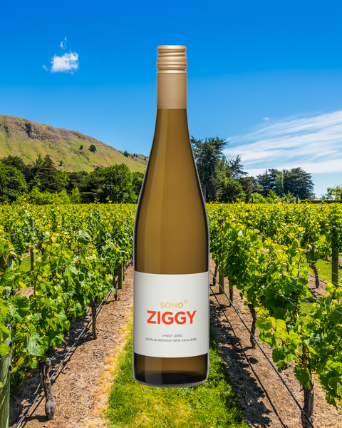 Pinot Gris - Great Grape, Agreed!
